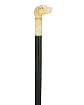 Bone Dog Cane