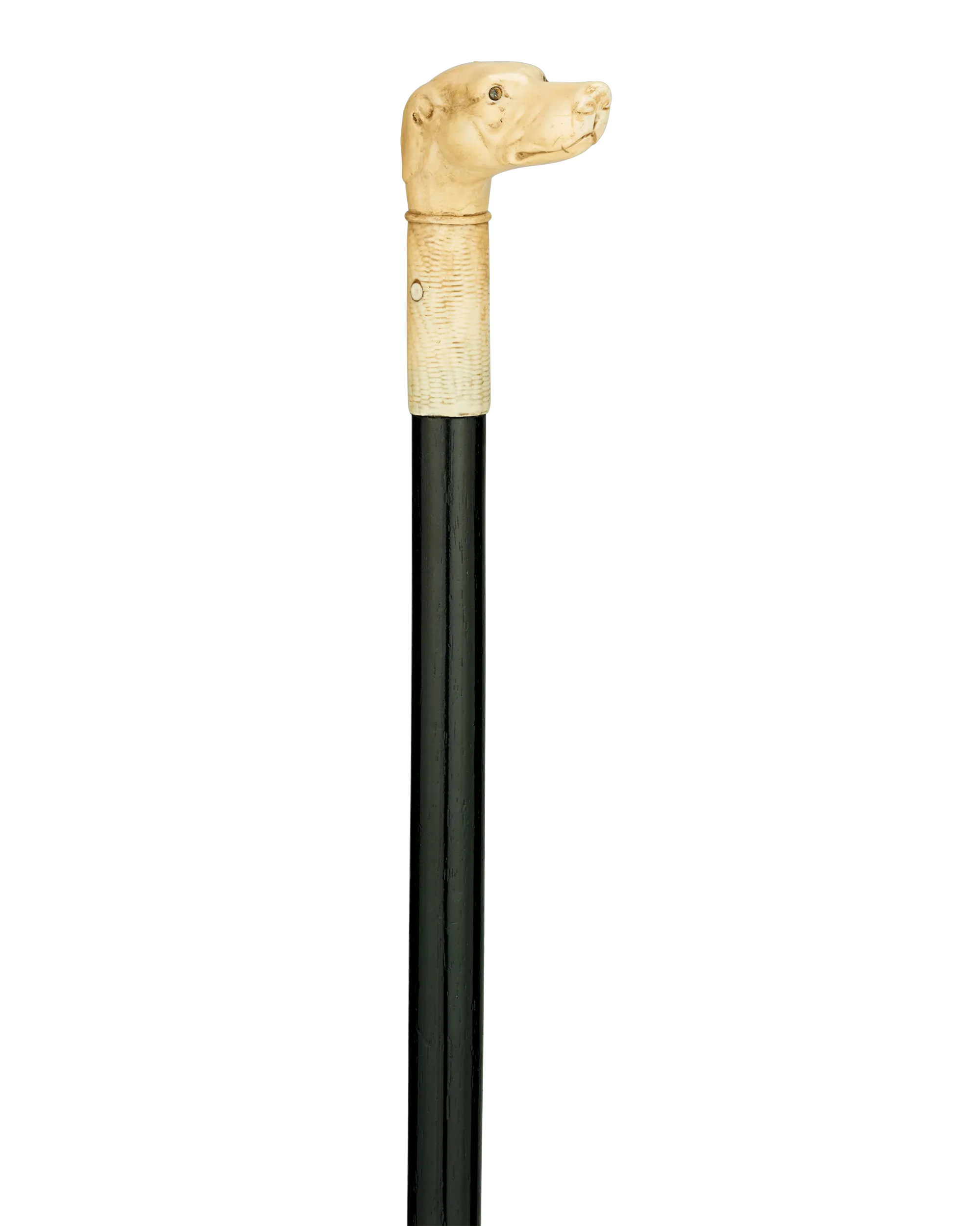 Bone Dog Cane