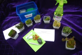 Bryophyte ID Kit