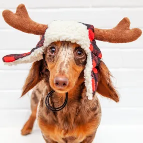 Buffalo Check and Antler Winter Dog Hat