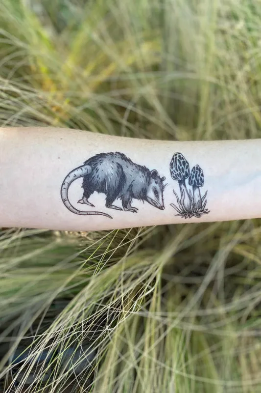 opossum temporary tattoo