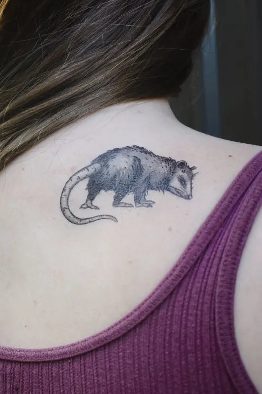 opossum temporary tattoo