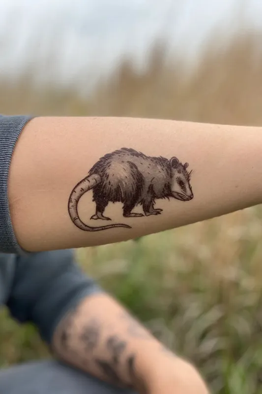 opossum temporary tattoo