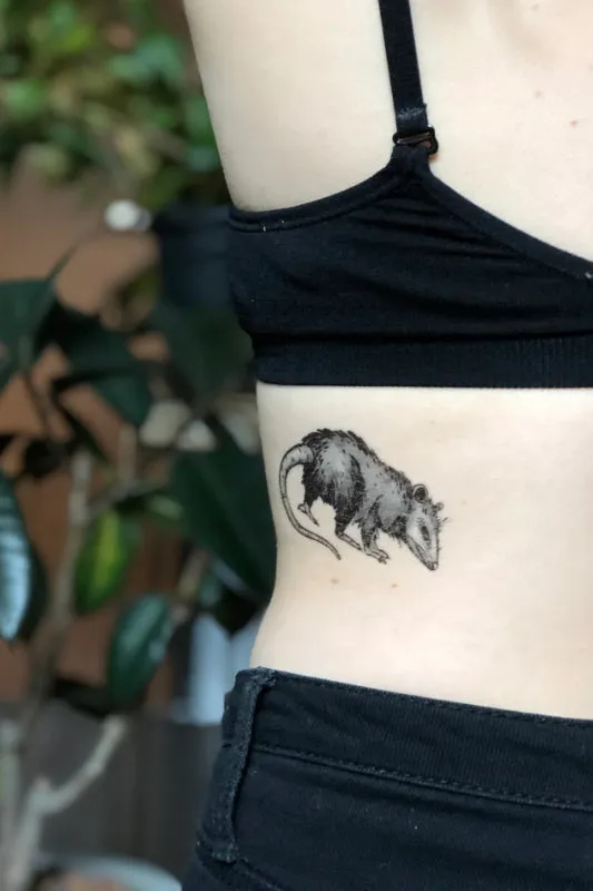 opossum temporary tattoo