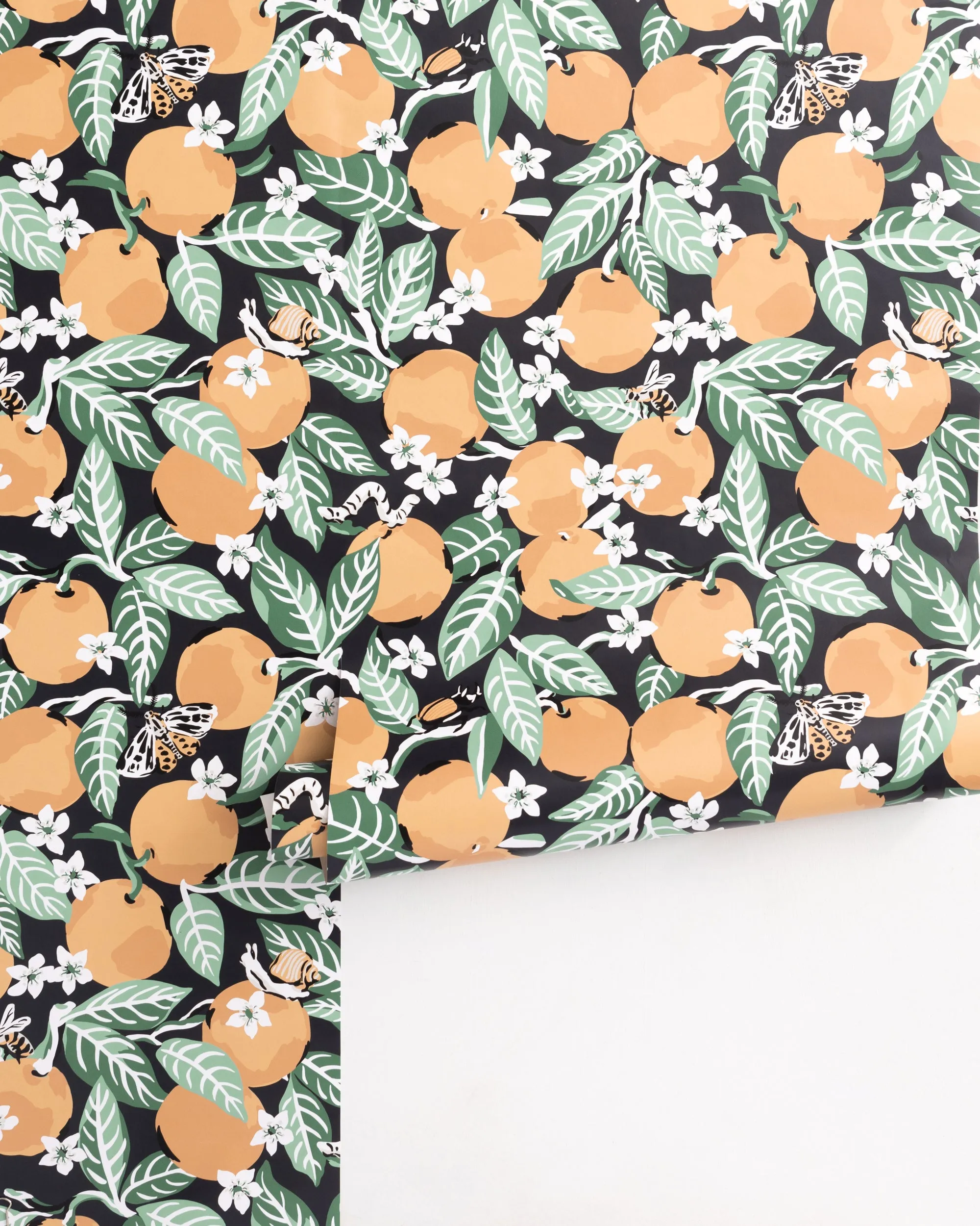 Orange Grove - Peel & Stick Wallpaper - Ink