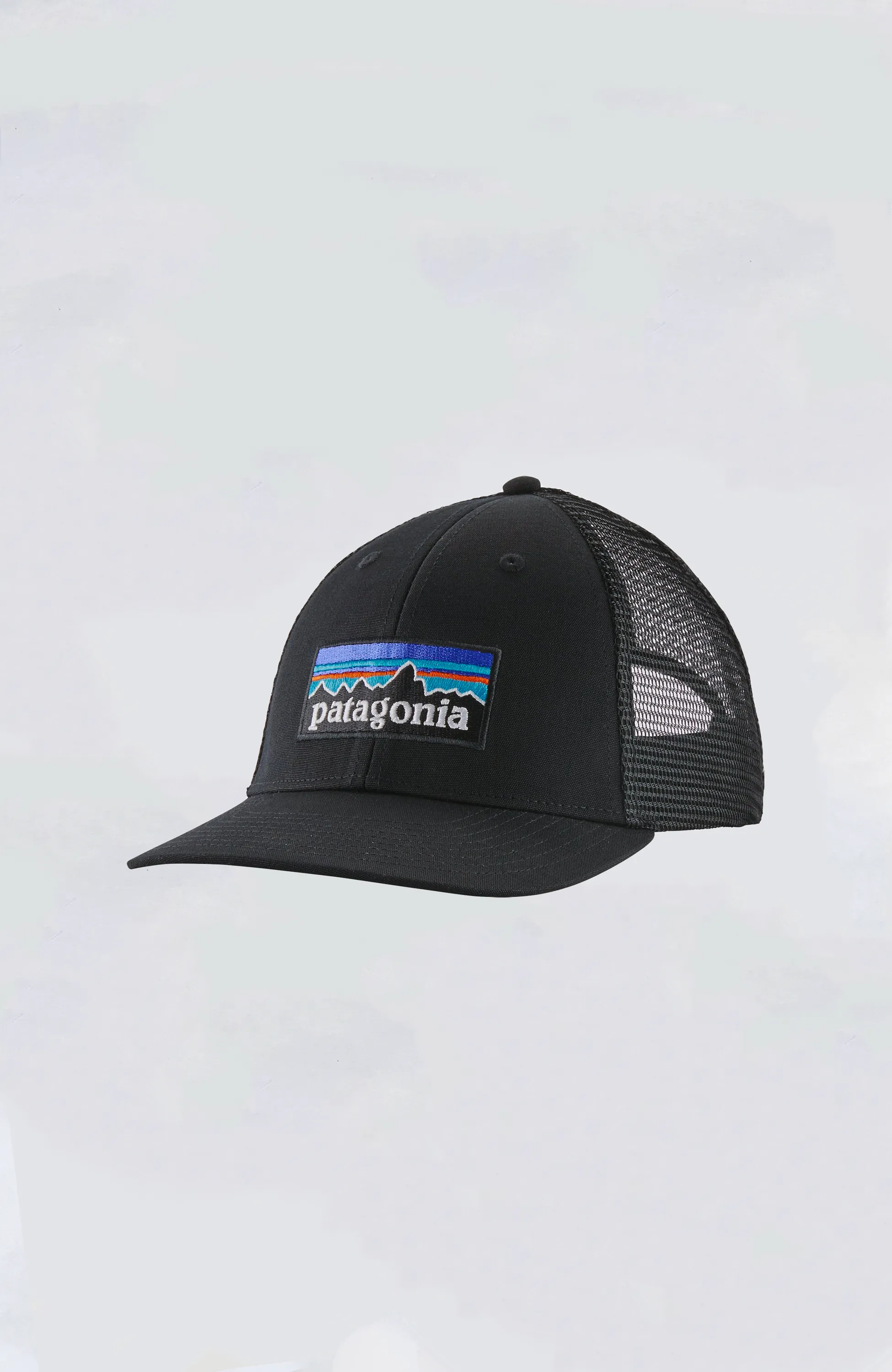 Patagonia - P-6 Logo LoPro Trucker Hat