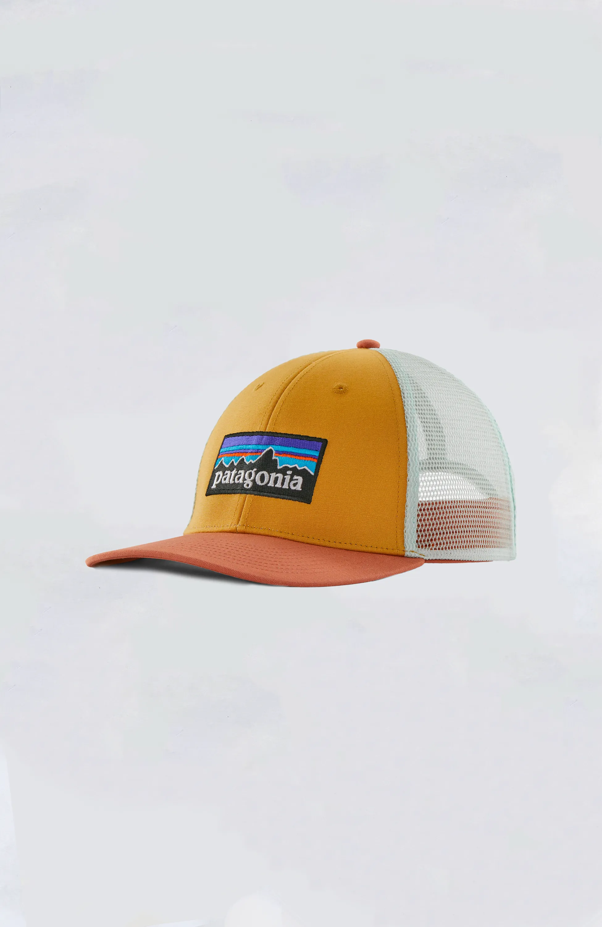 Patagonia - P-6 Logo LoPro Trucker Hat