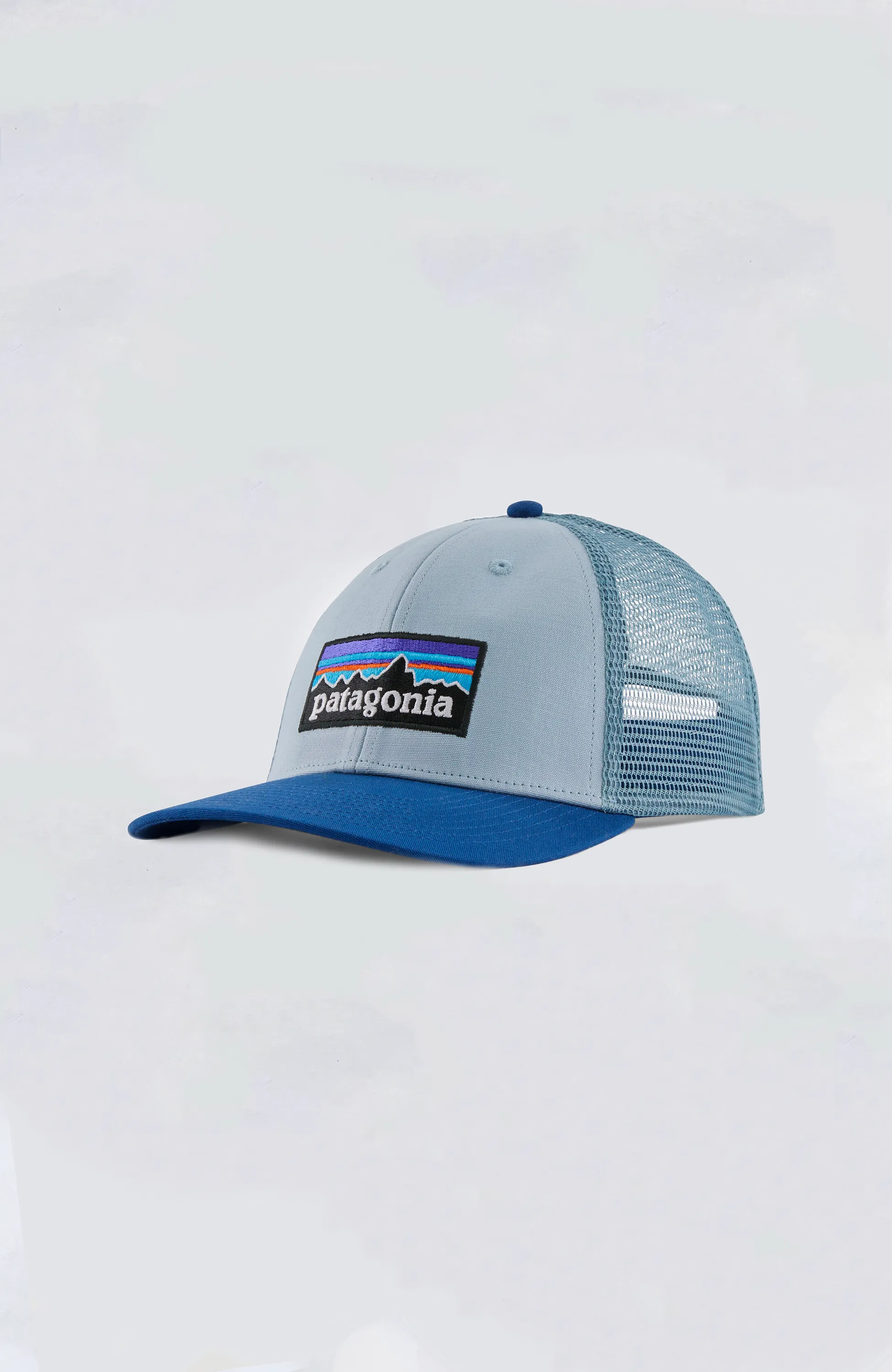 Patagonia - P-6 Logo LoPro Trucker Hat