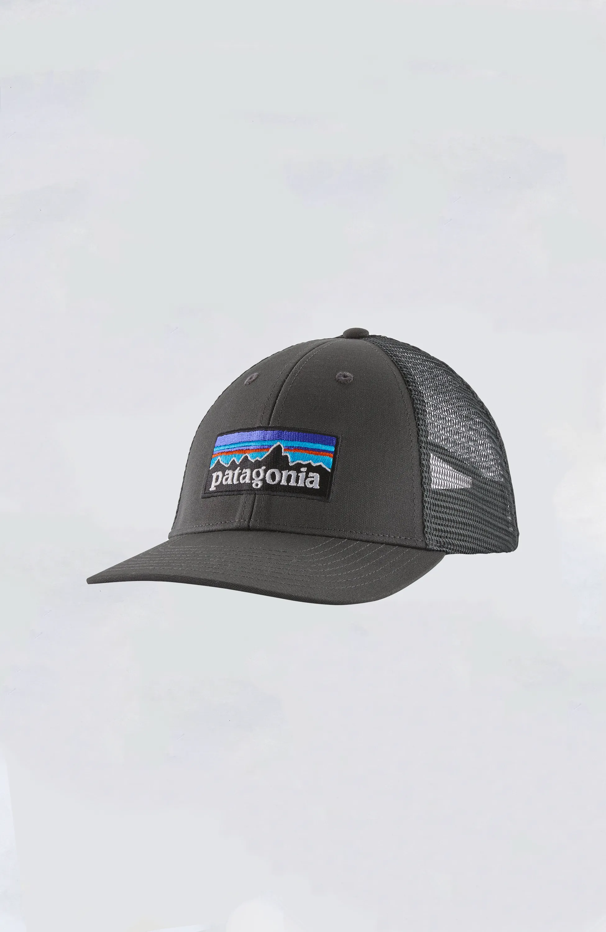 Patagonia - P-6 Logo LoPro Trucker Hat