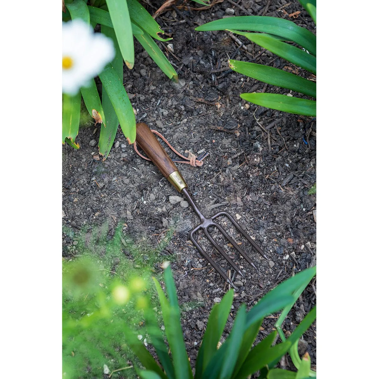 Round-Tined Fork - National Trust