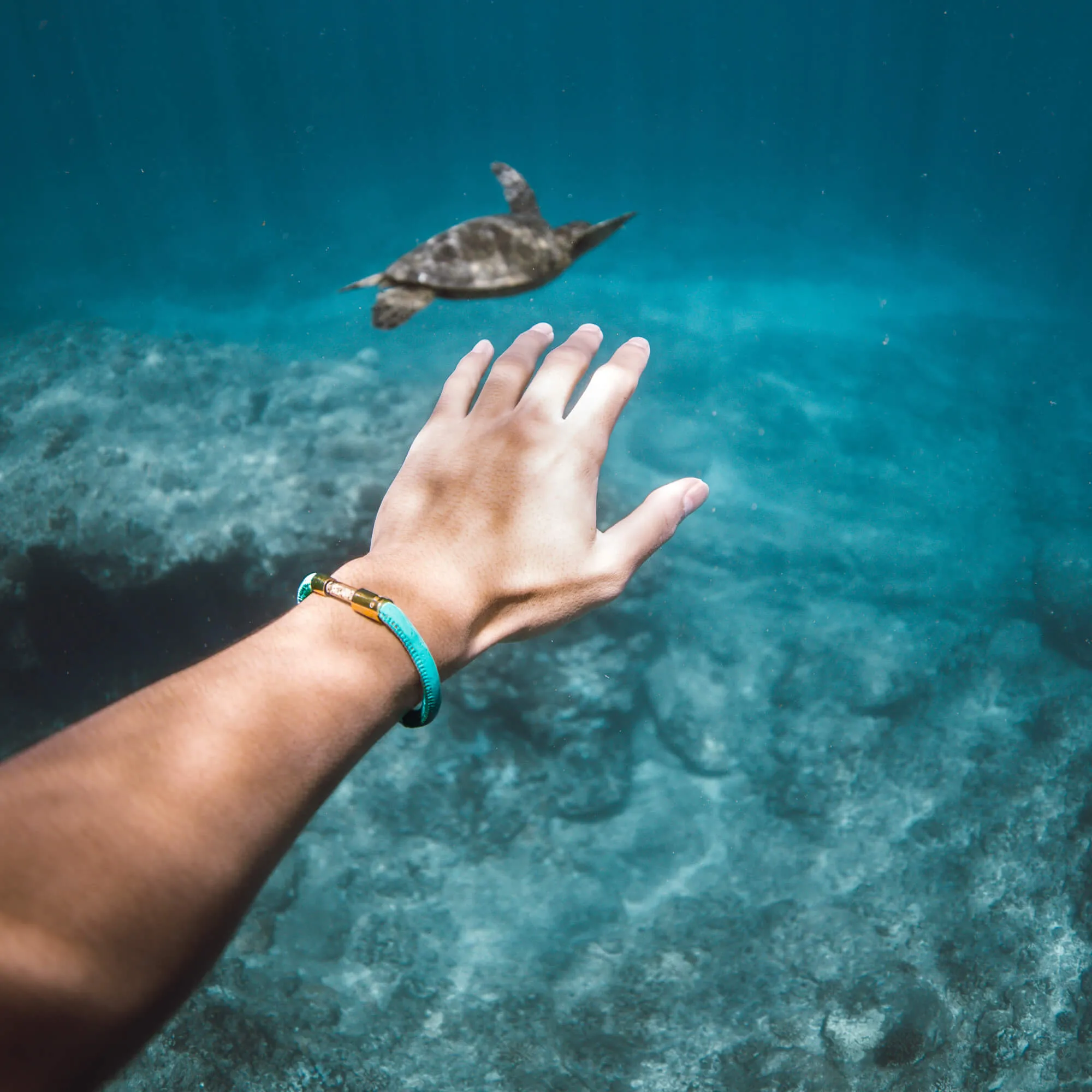 Sea Turtle Legend Bracelet