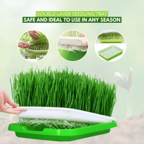 Sprout Lovers - Double-Layer Seedling Tray