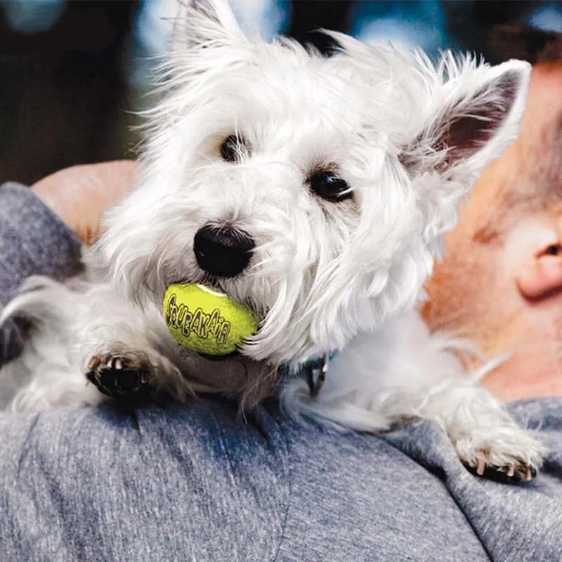 Squeaky Tennis Ball from Kong CLOSEOUT